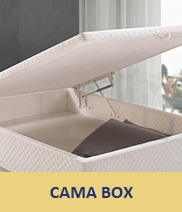 Cama Box